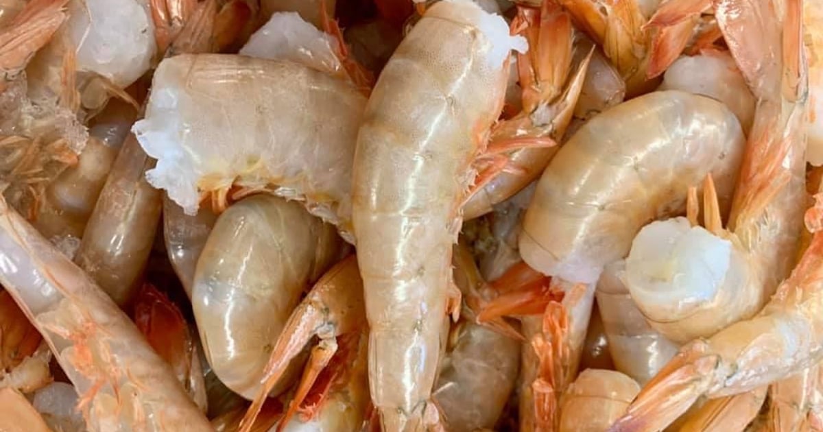 Jumbo Gulf Shrimp Meats And Seafood Springfield Butcher