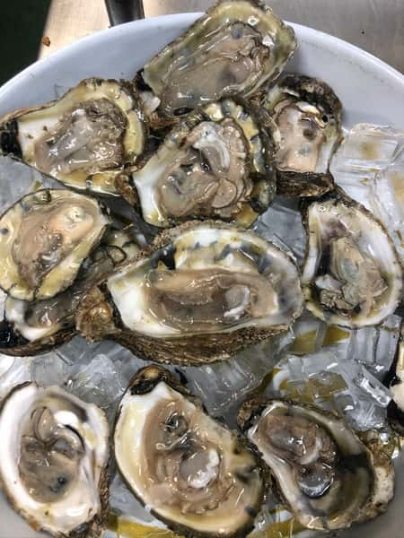 Oysters On The Half Shell Dinner Menu Whitey S Fish Camp Seafood