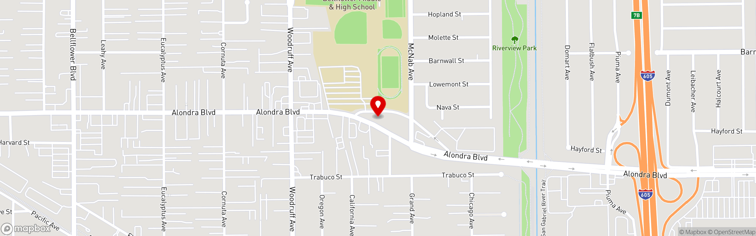 Street map pinning Tacos El Fogon Grill in Tacos El Fogon Grill