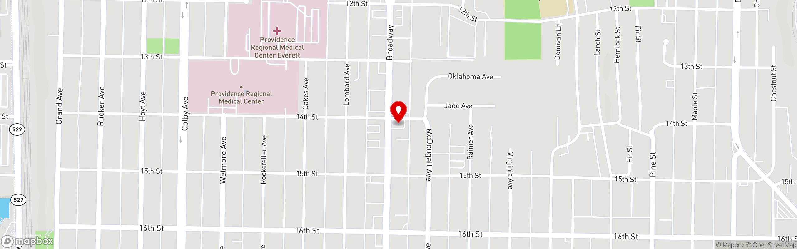 Street map pinning Ray's Drive In in Ray's Drive In