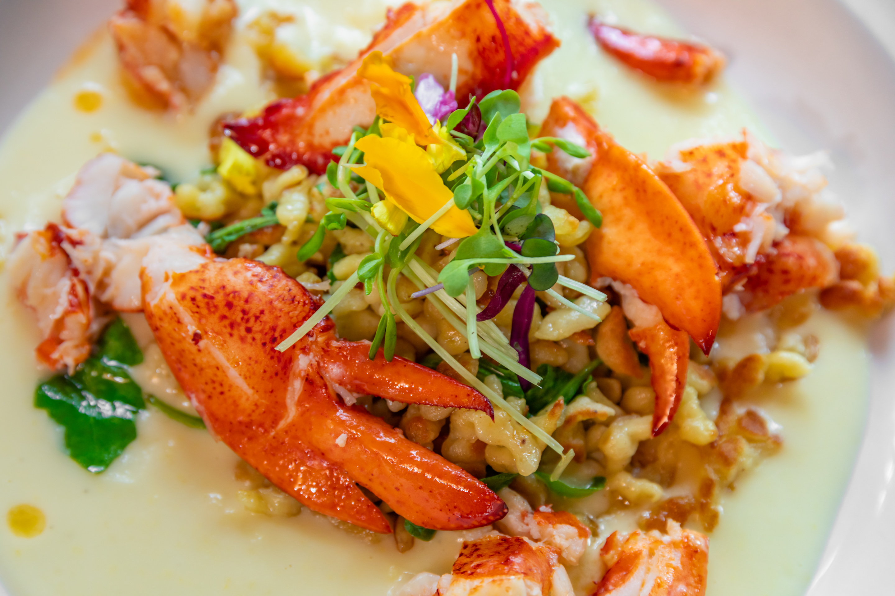 April in Paris - Clay Hill Farm - American Restaurant in Cape