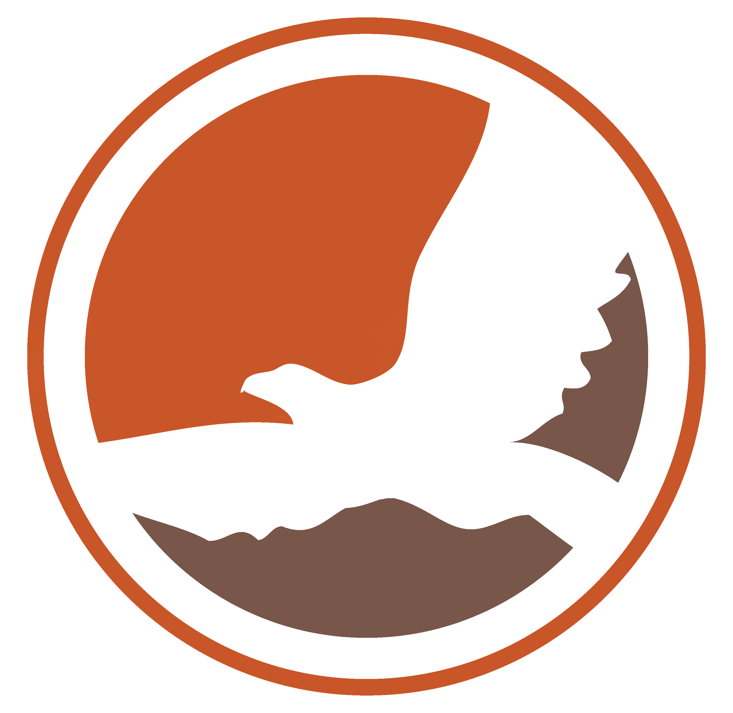 flying eagle logo