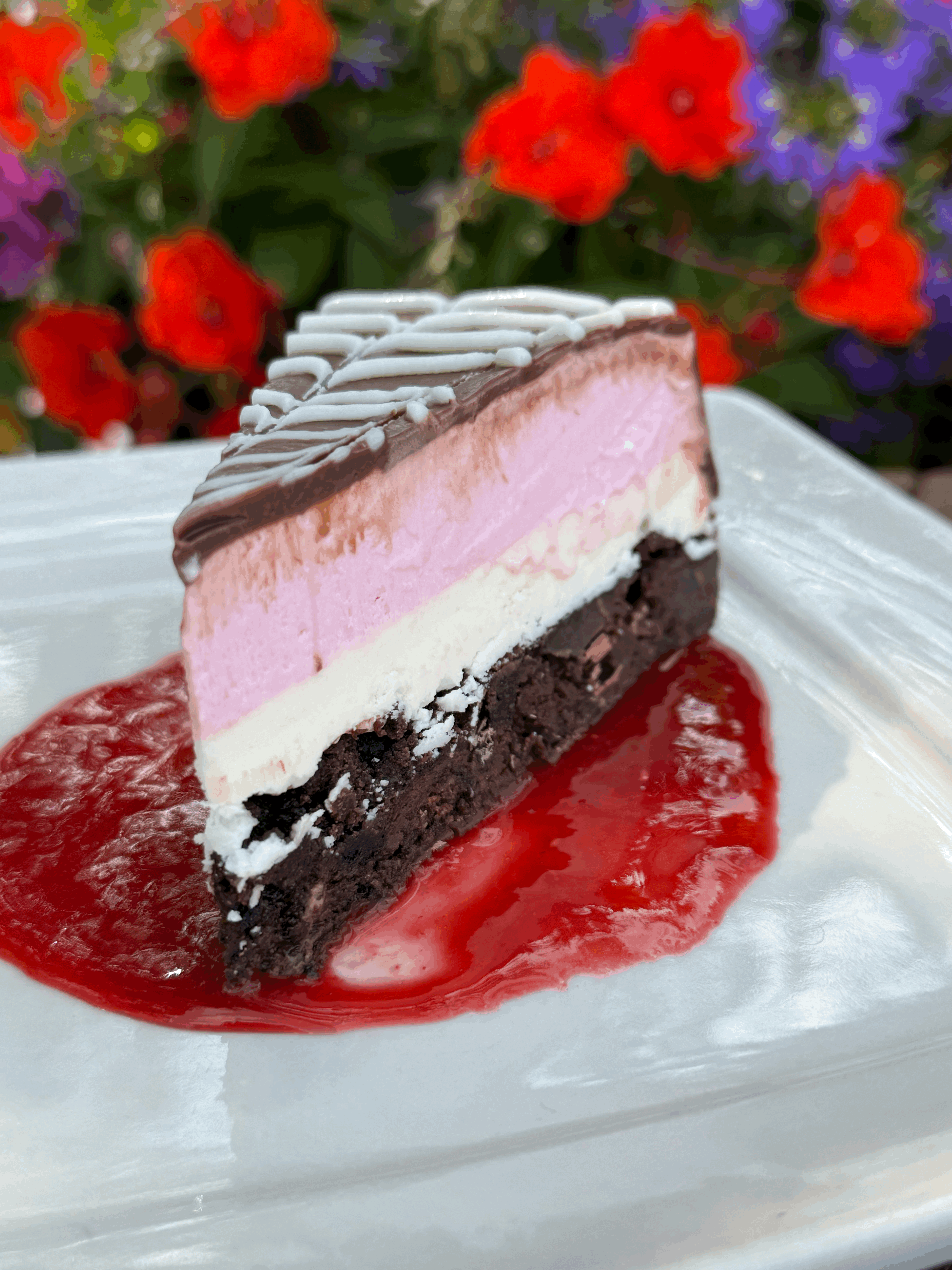 Chocolate Raseberry Cake