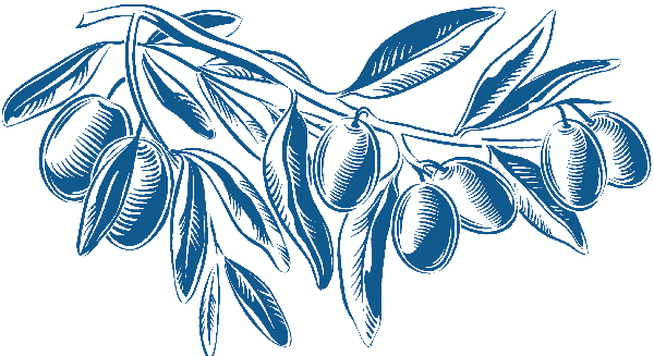 olive branch illustrated gif