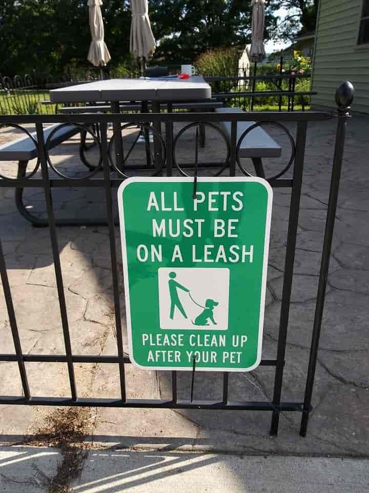 pets allowed