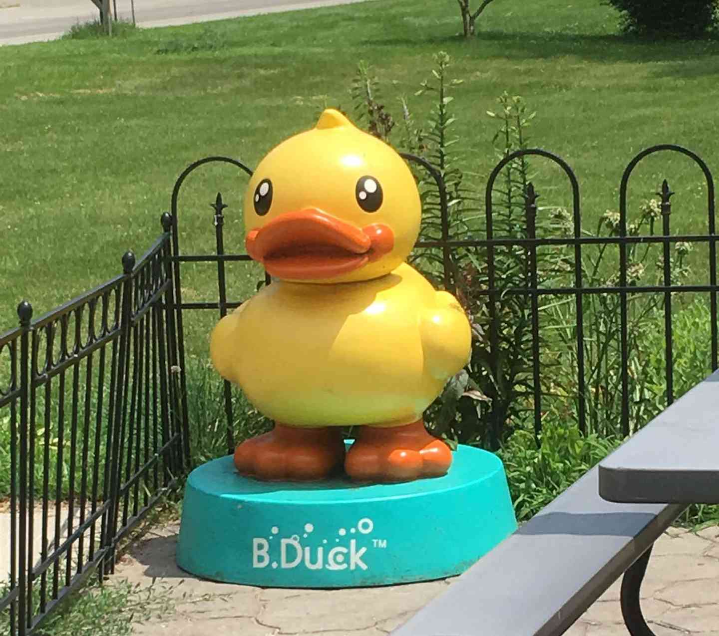 rubber duck