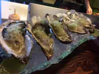 Kachemak Bay Oysters