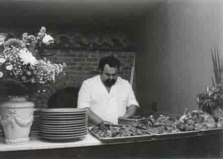 mario in the kitchen
