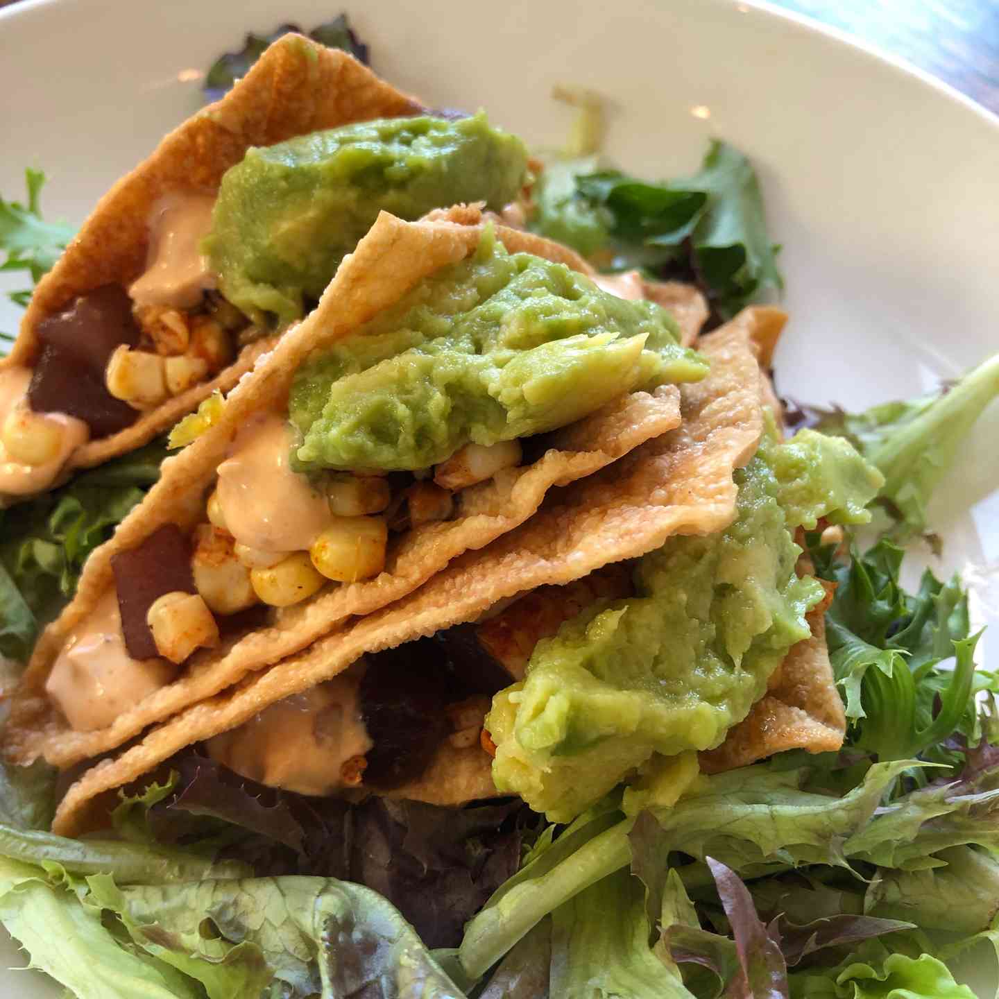 Wonton Tuna Taco