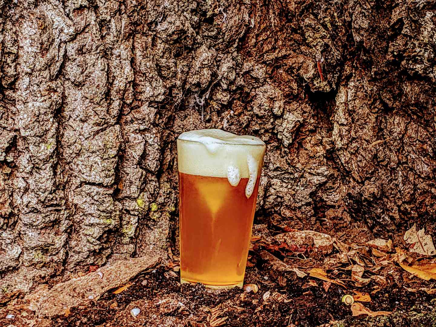 Annie's Amber Ale Brew