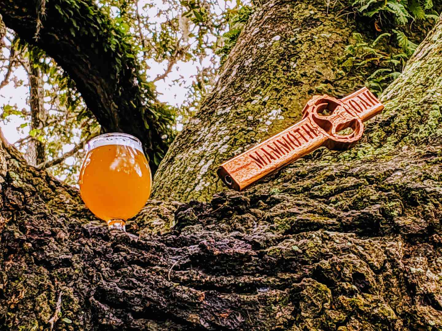 Hot Tropic Brew