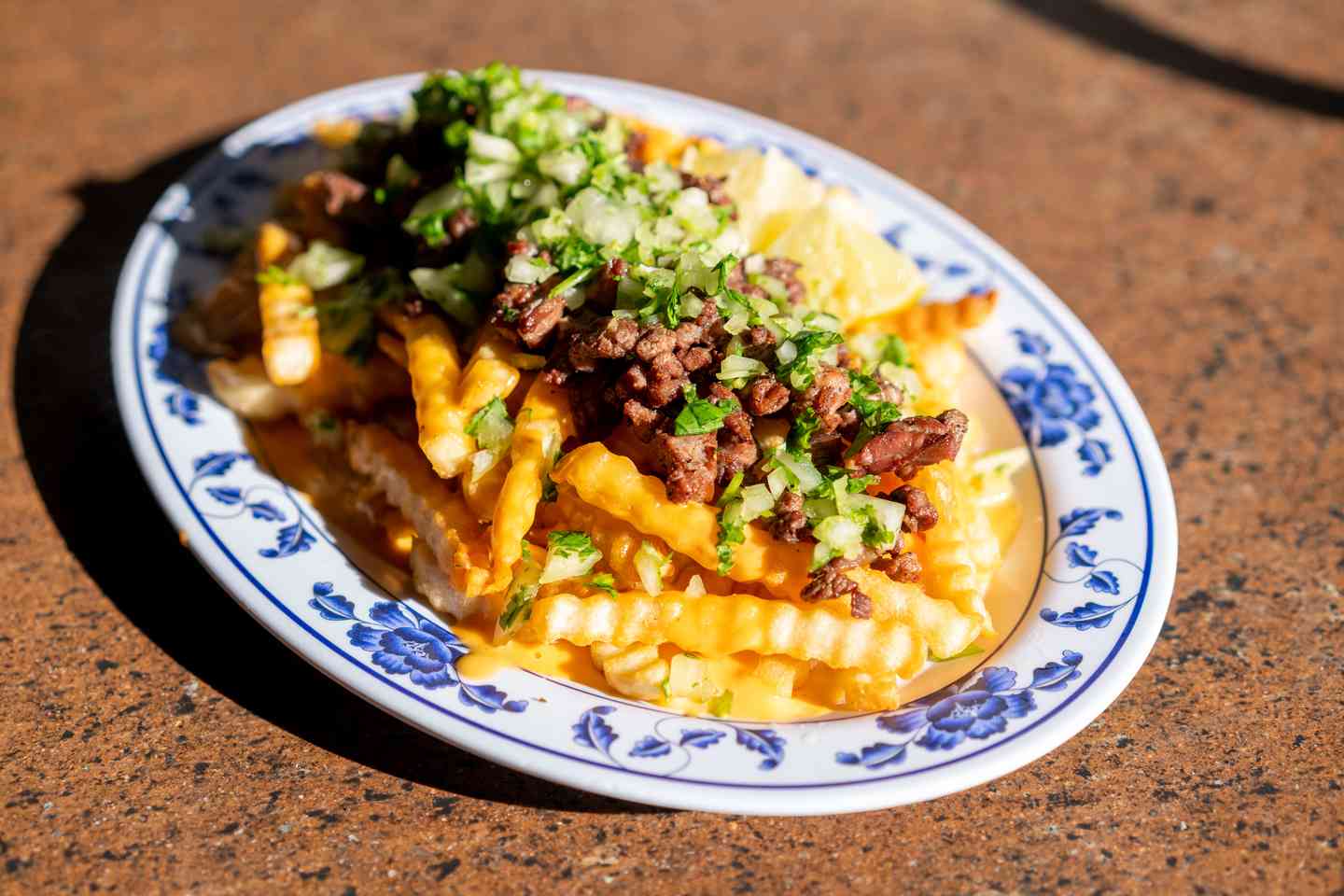 Carne Asada Fries