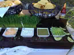 Taco Station