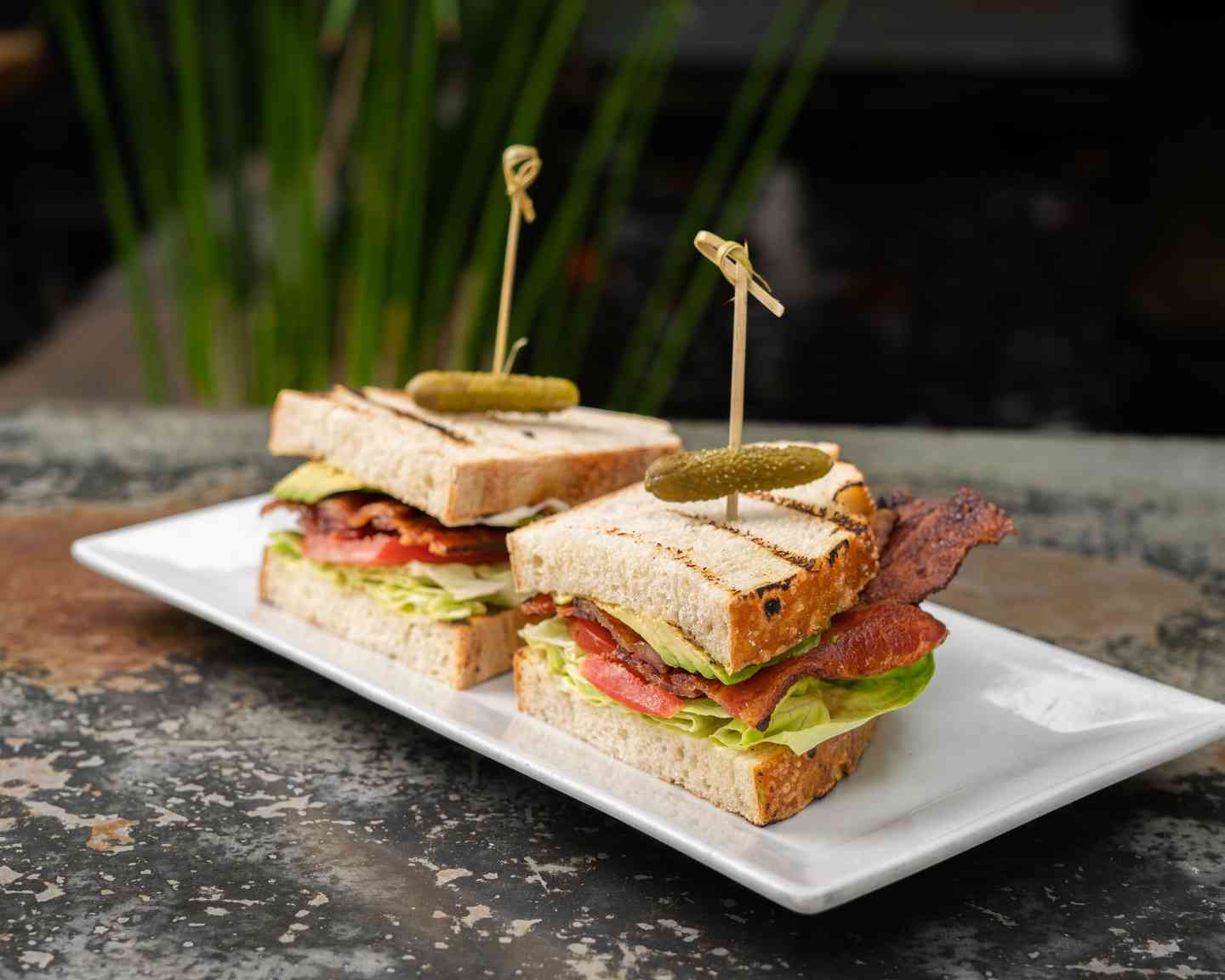 Bacon Lettuce Tomato Avocado