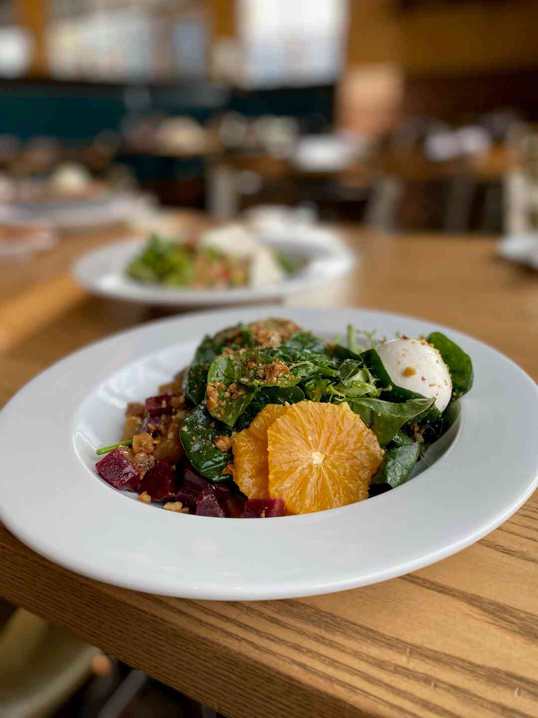Beet & Burrata Salad