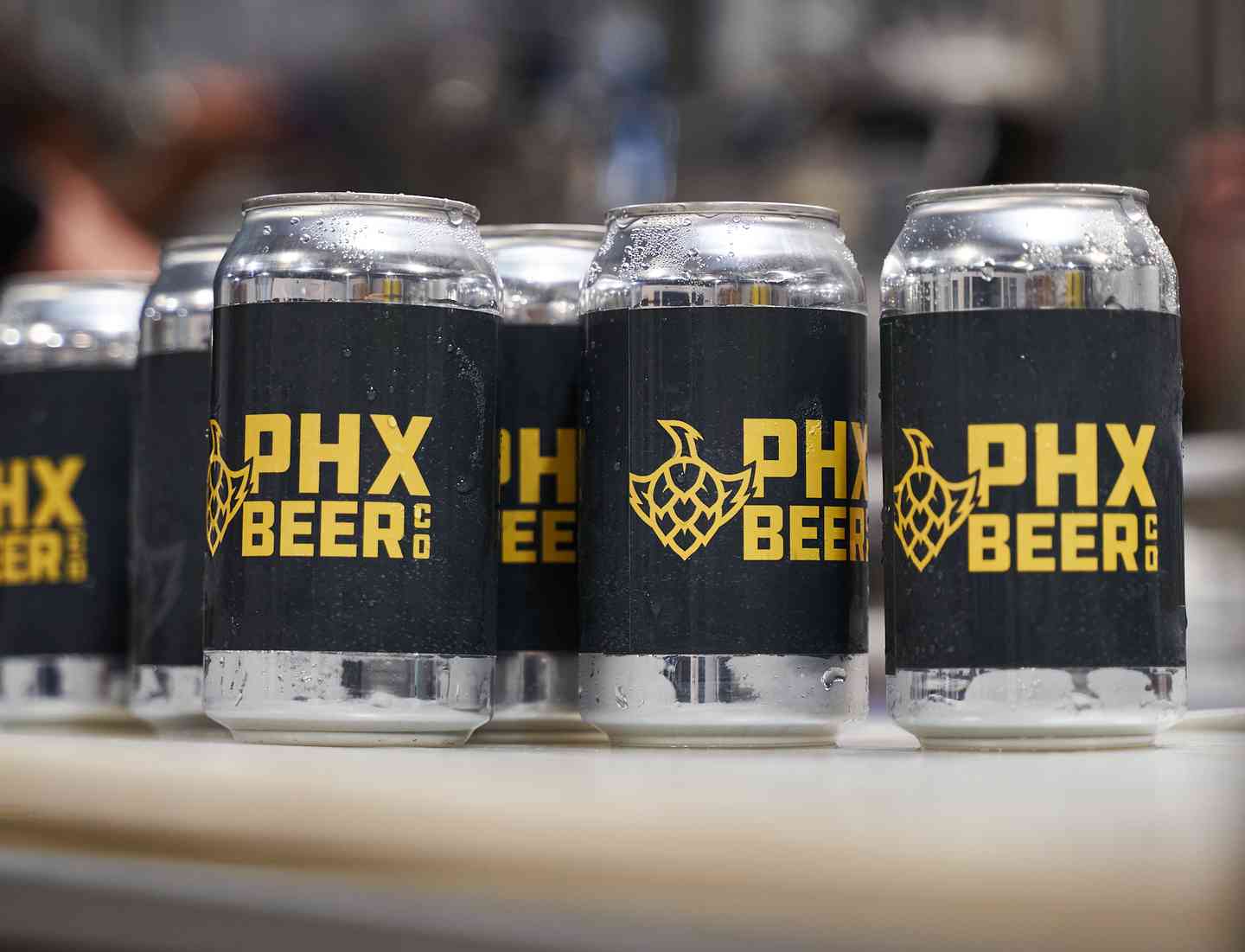 *NEW!* Monsoon IPA 6 Pack