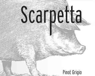 Scarpetta Pinot Grigio