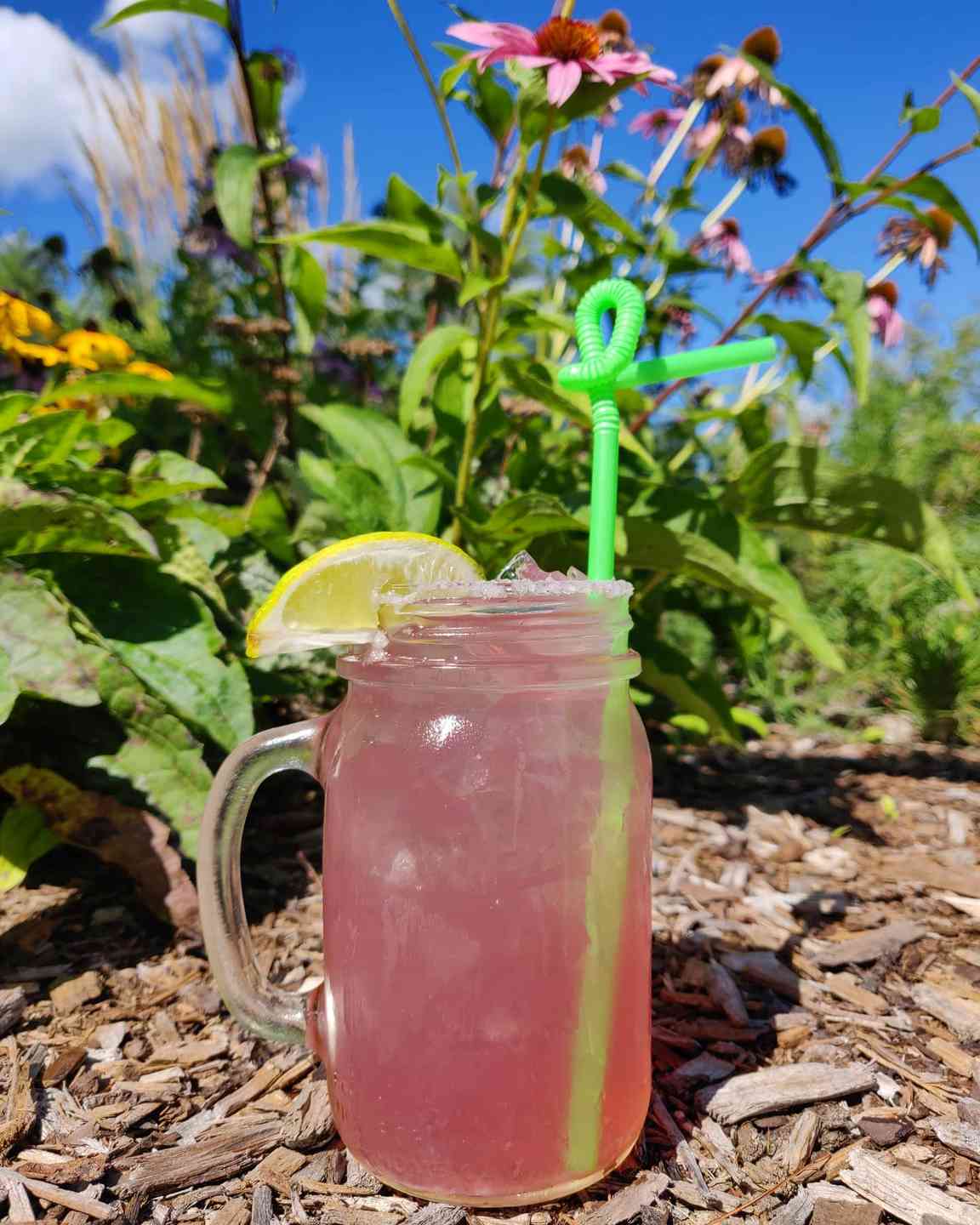 Barn Door Hostel Lemonade