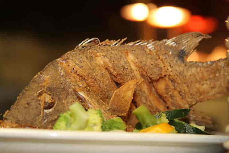 hogfish