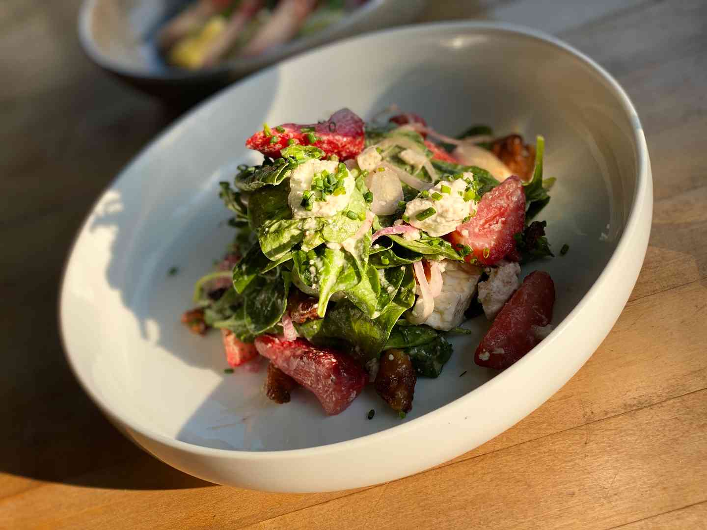 HARVEST SALAD
