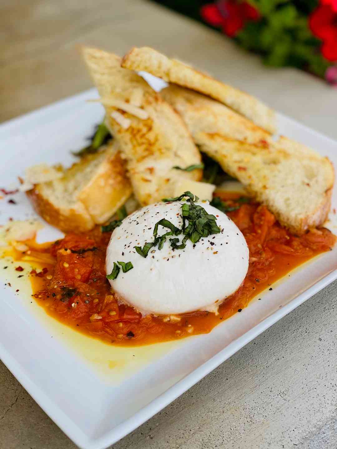 BURRATA & BRAISED TOMATOES