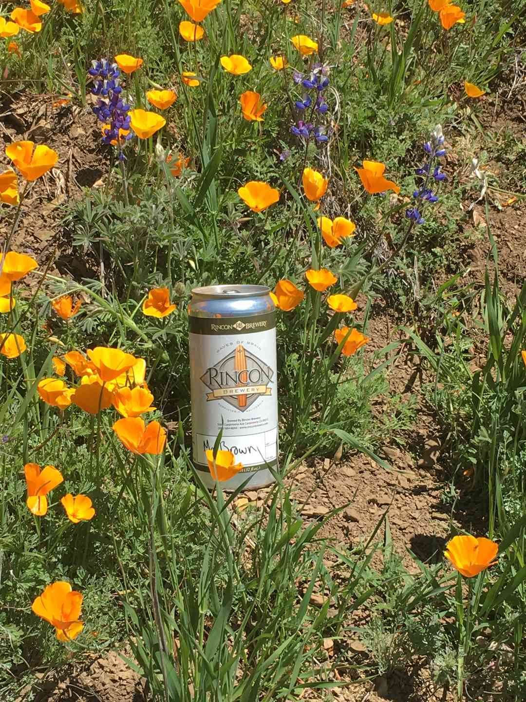 Crowlers