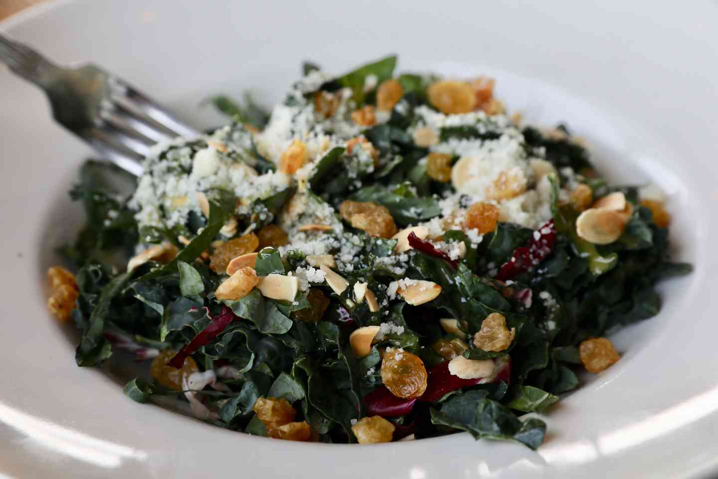 Tuscan Kale & Pecorino Salad