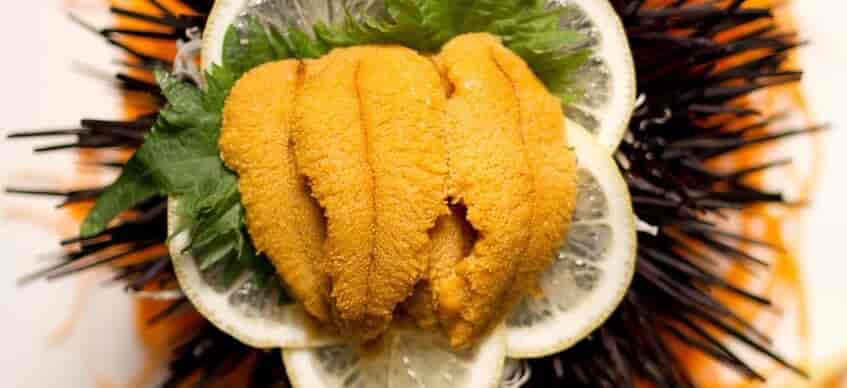 uni