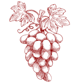 grapes