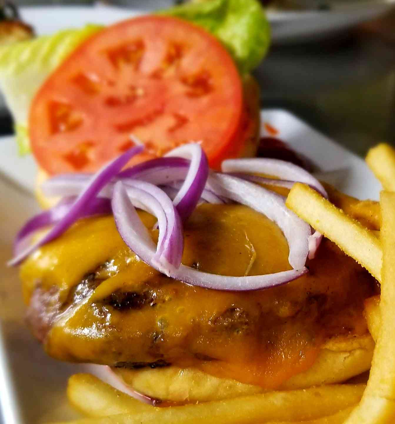 Grass-Fed Burger (gfo)
