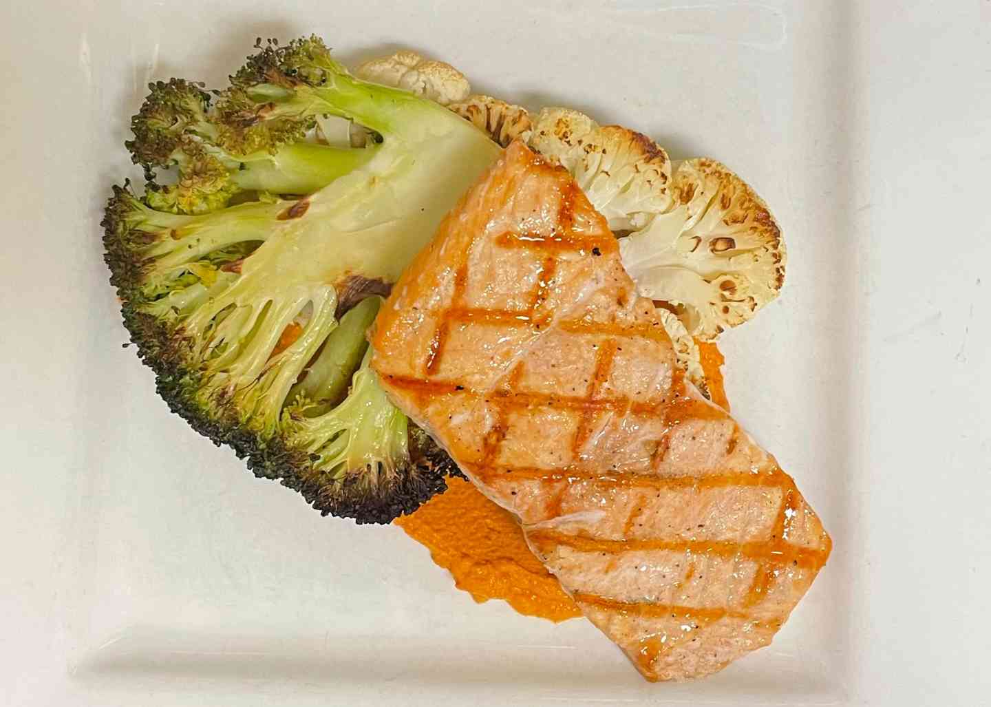 salmon