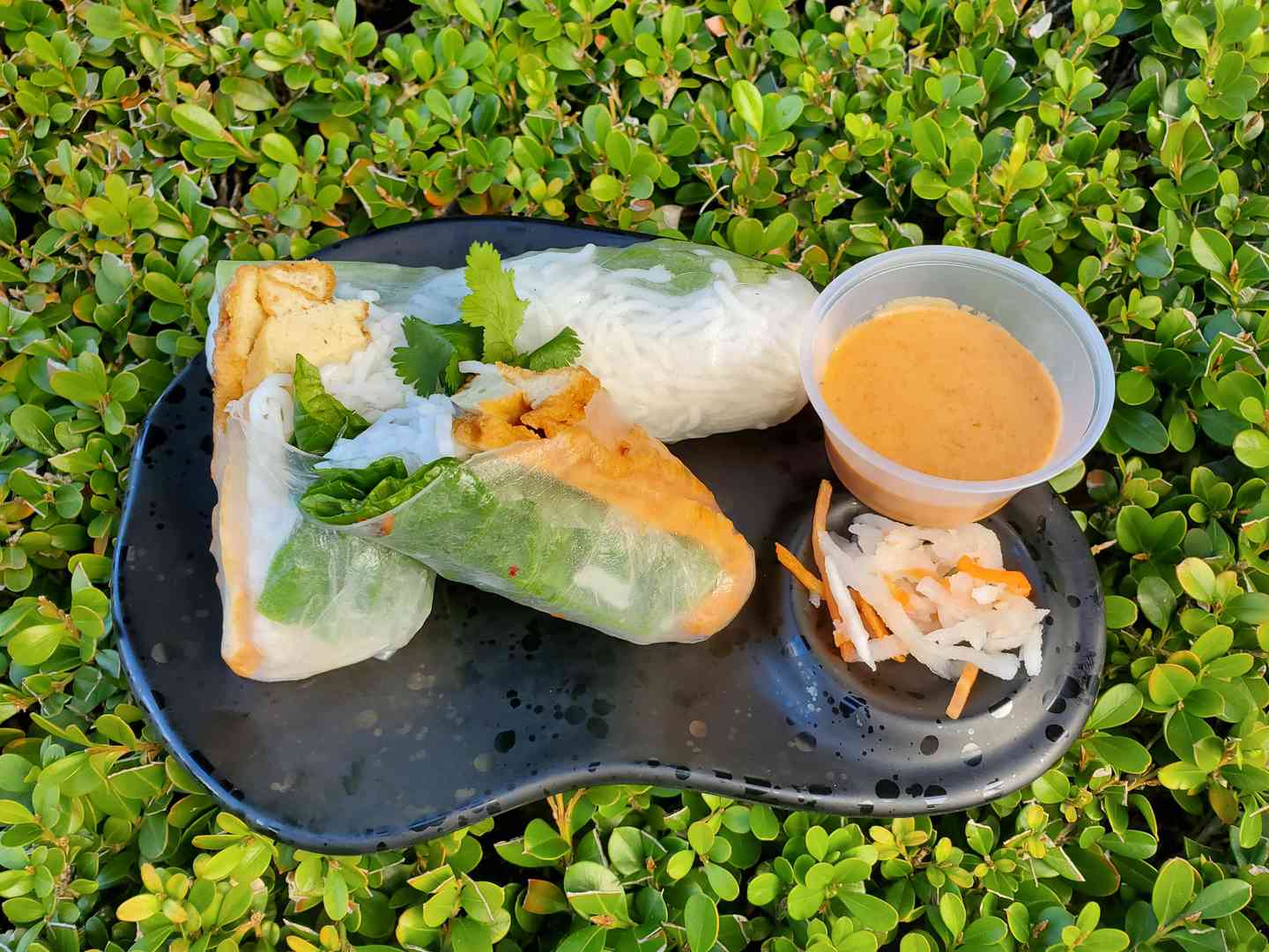 Fresh Veggie Roll
