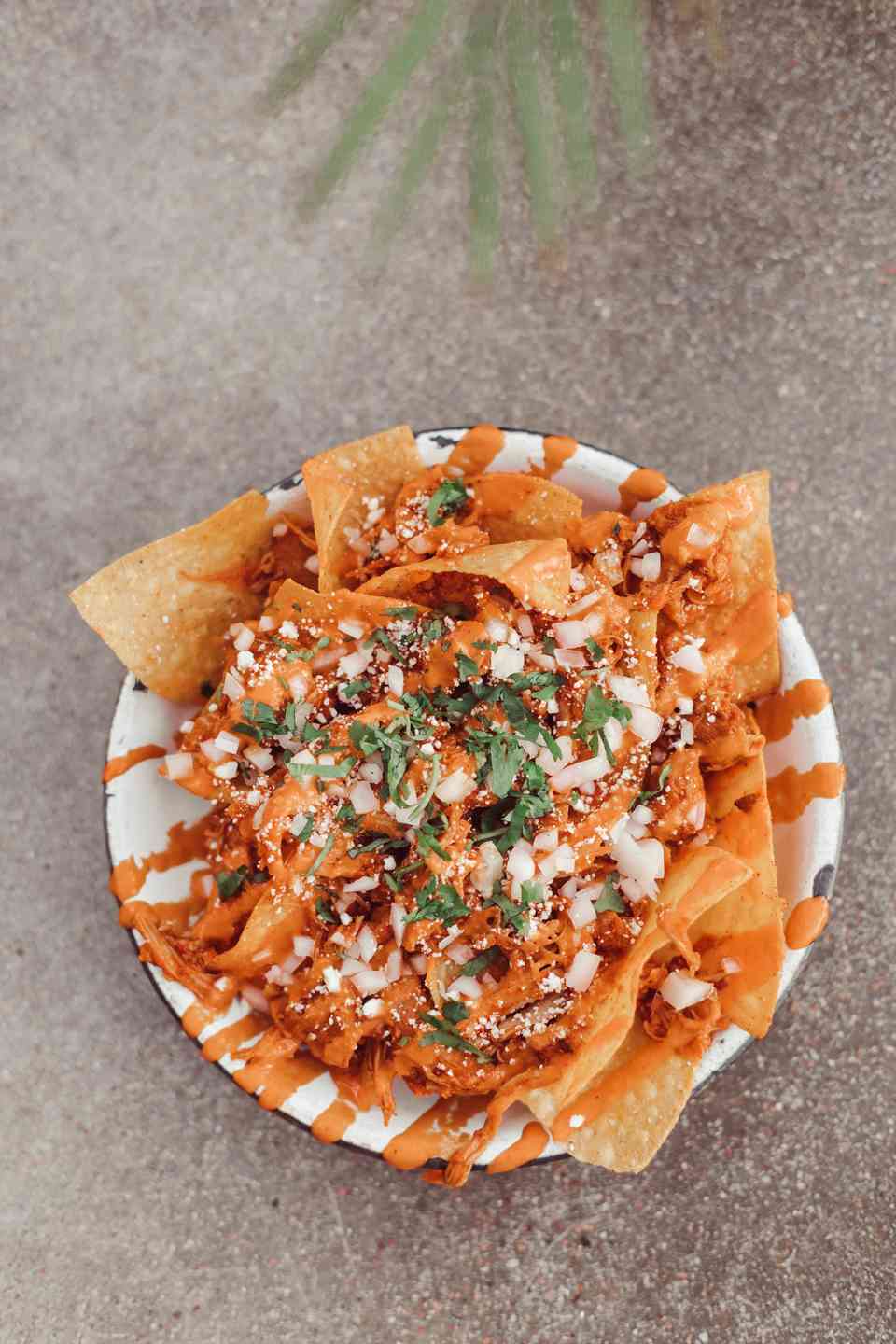 Chicken Tinga Chips