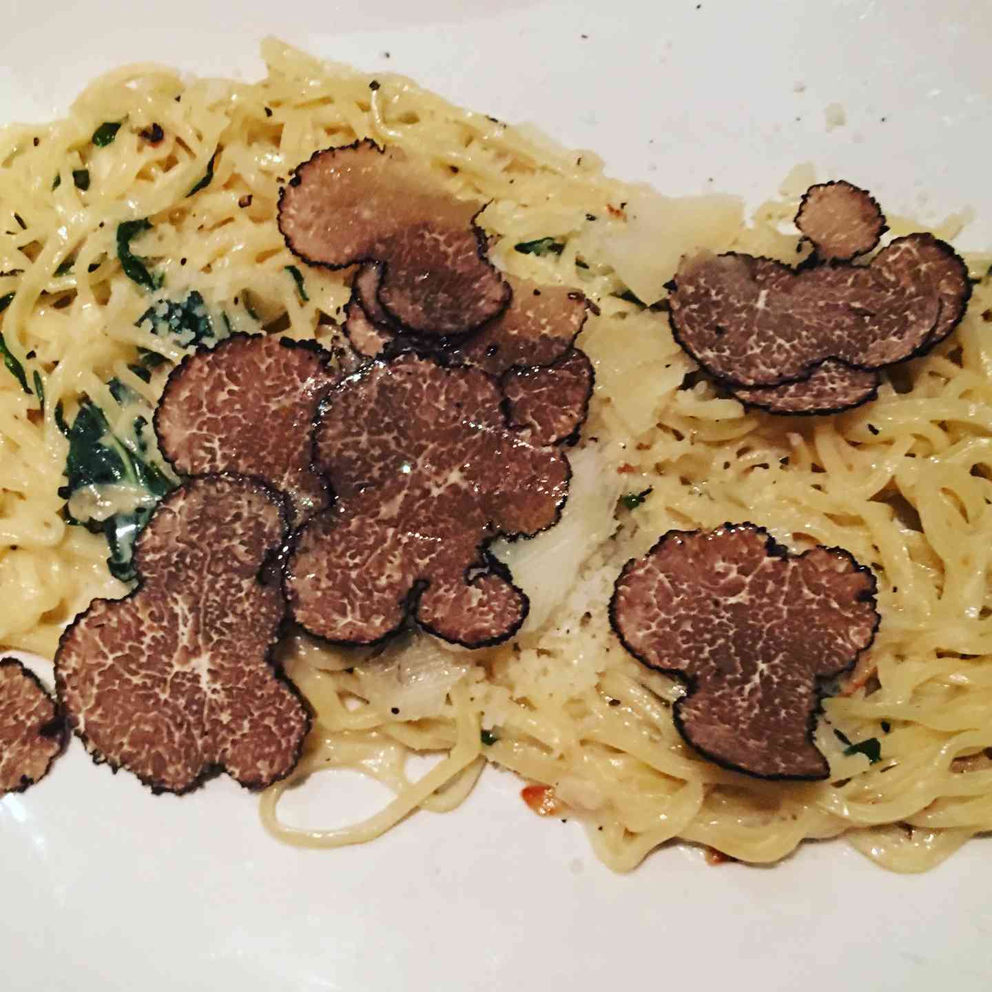 CELEBRATE URBANI TRUFFLE FESTIVAL WITH US!