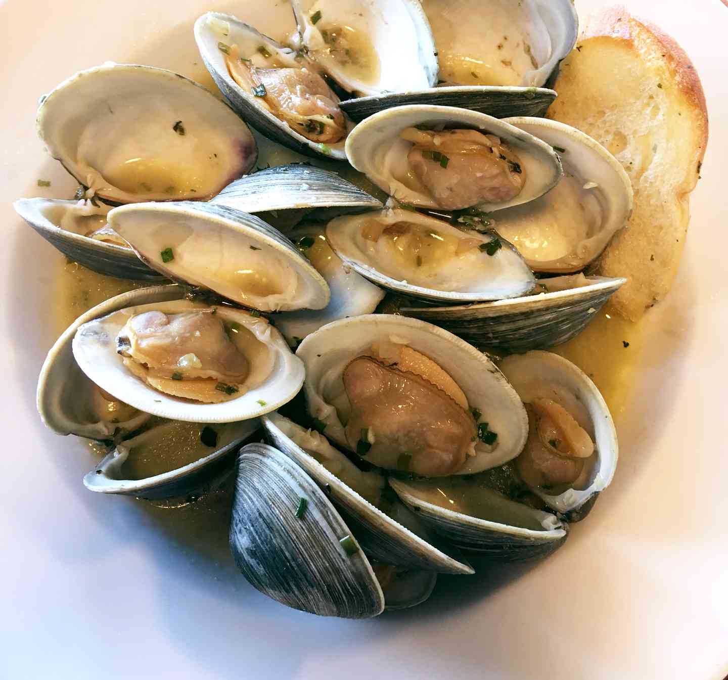 clams