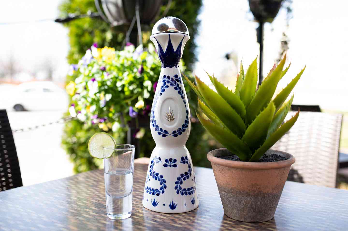 margarita