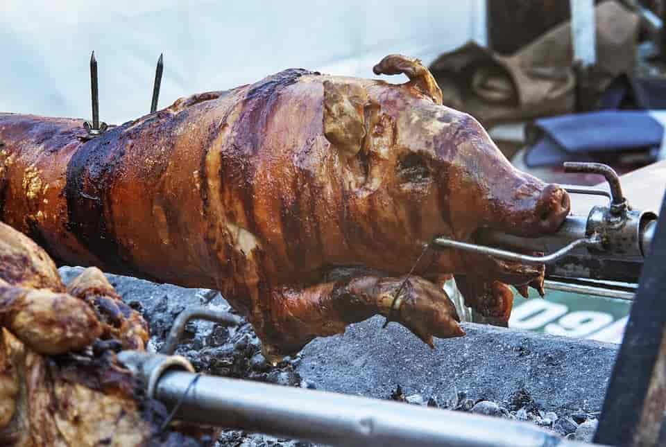 roast pig