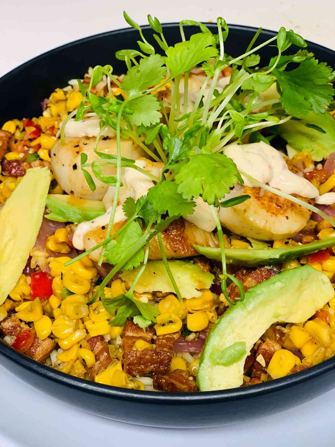 Menu Zogg's Raw Bar & Grill Restaurant in Rehoboth Beach, DE