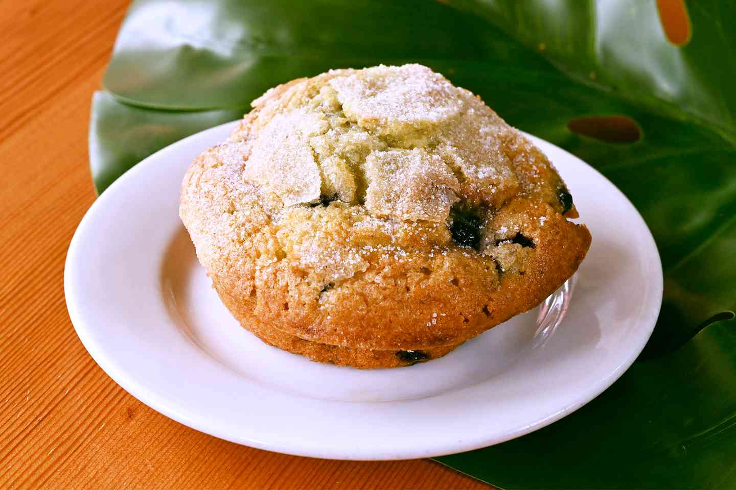 Blueberry