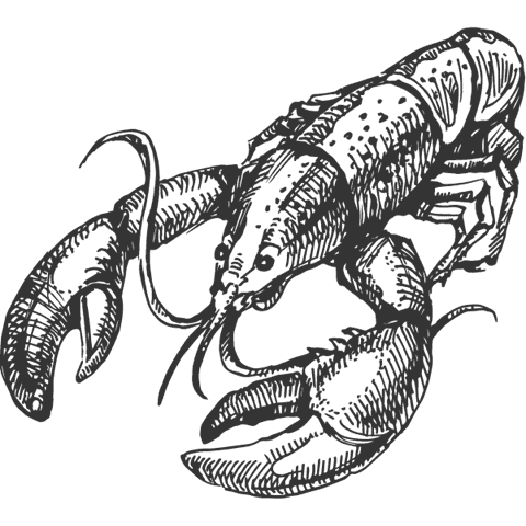 lobster