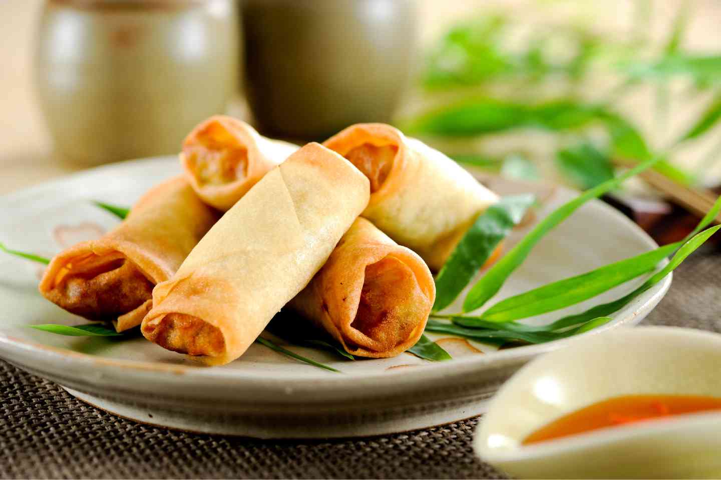 Veg Spring Roll
