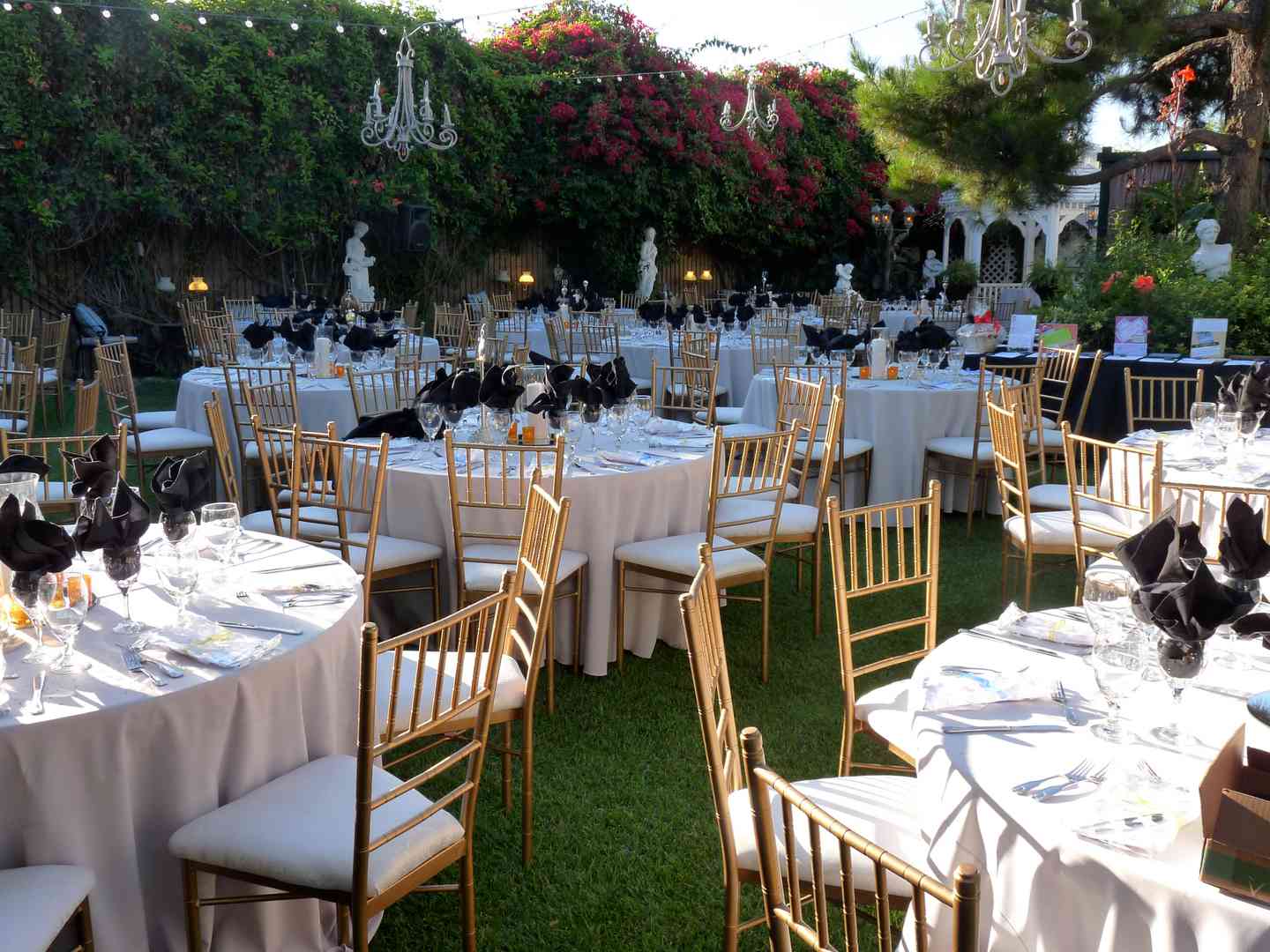 The Best Way to Postpone Your Event