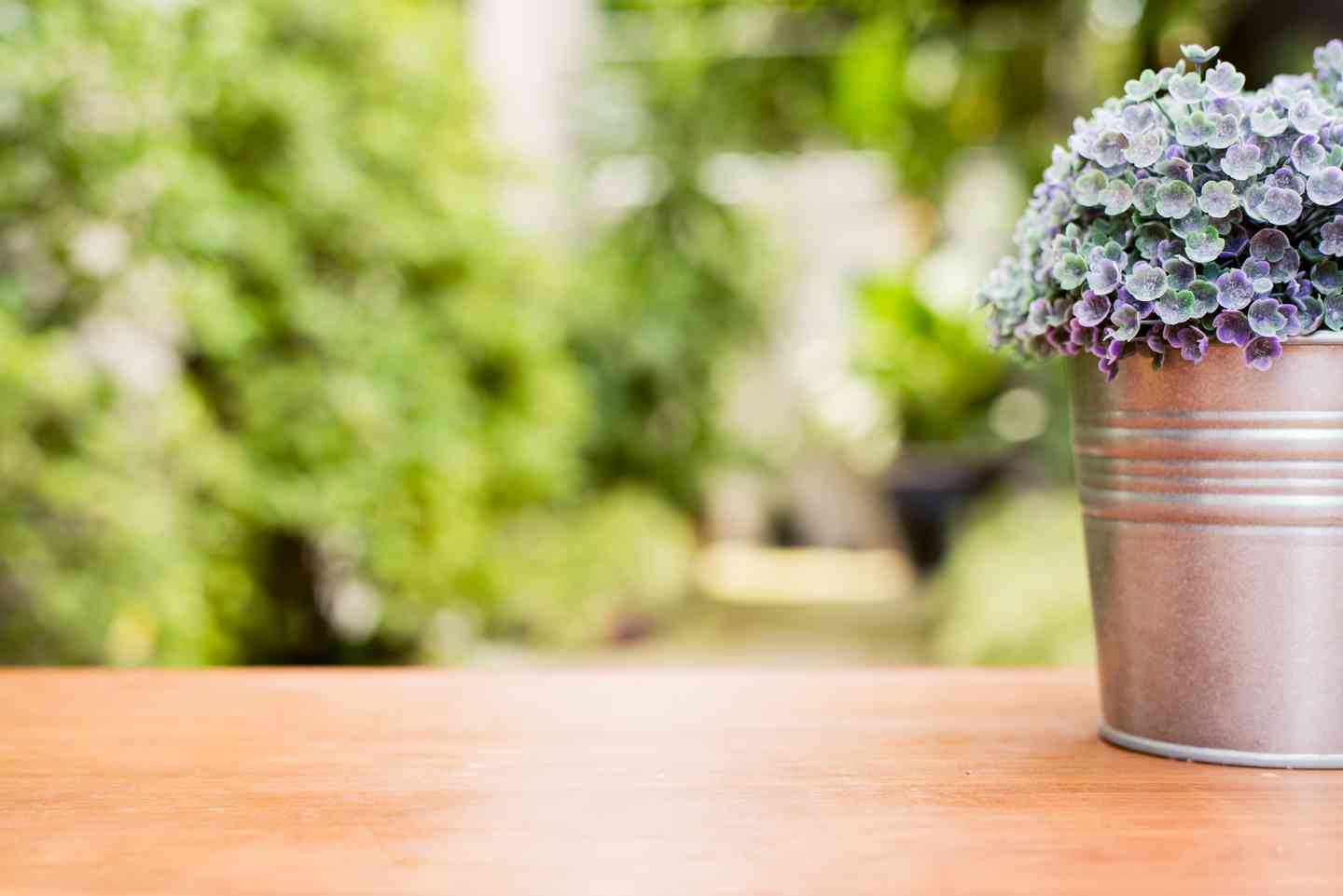 flowers in tin bucket