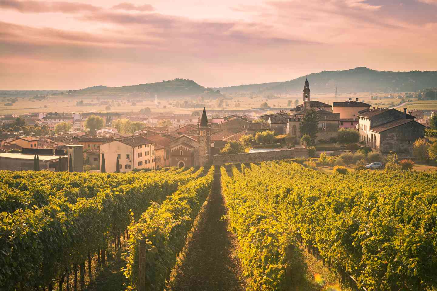 From the "Land of Wine" - Wine Set