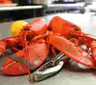 lobster