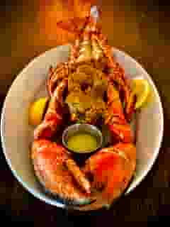 Lobster