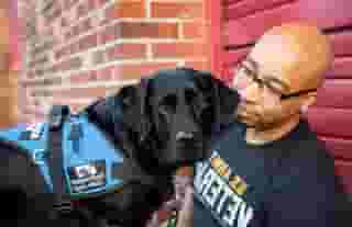 labs south eastern guide dogs