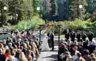 wedding