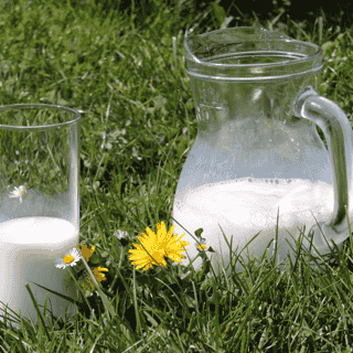 Milk