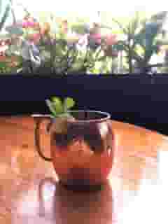 Sister's Mule